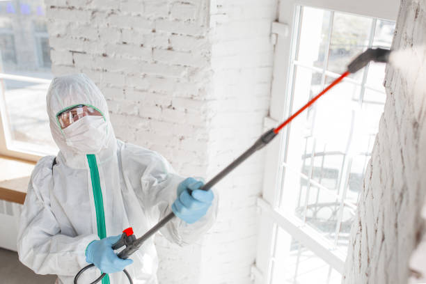 Best Mold Removal for HVAC Installations  in Knox, IN